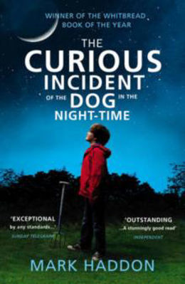 Picture of The Curious Incident of the Dog in the Night-time