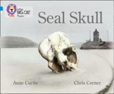 Picture of Seal Skull