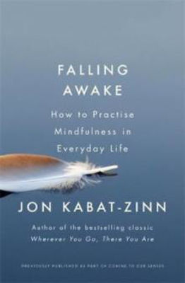 Picture of Falling Awake: How to Practice Mind
