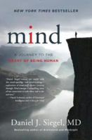 Picture of Mind: A Journey to the Heart of Bei