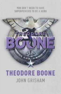Picture of Theodore Boone