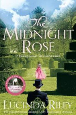 Picture of Midnight Rose