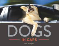 Picture of Dogs in Cars