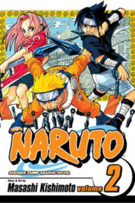 Picture of Naruto, Vol. 02