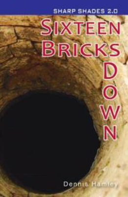 Picture of Sixteen Bricks Down (Sharp Shades 2.0)