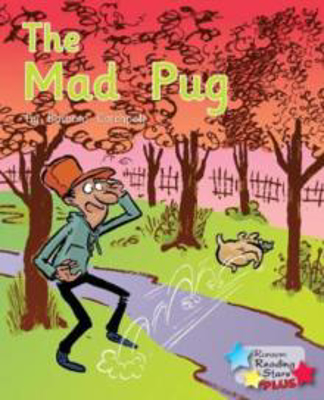 Picture of The Mad Pug