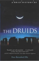 Picture of Brief History of the Druids  A