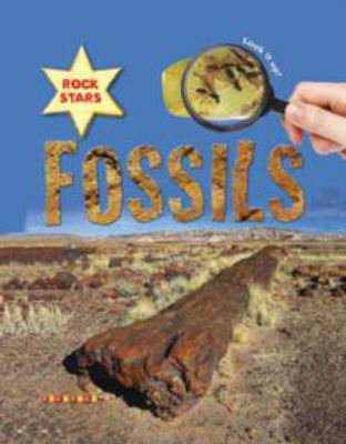Picture of FOSSILS