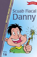 Picture of Scuab Fiacal Danny