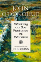 Picture of WALKING ON THE PASTURES OF WONDER - O'DONOHUE  JOHN *****
