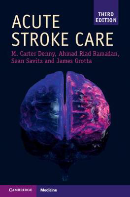 Picture of Acute Stroke Care