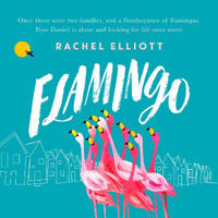 Picture of Flamingo: An exquisite and heartbreaking novel of kindness, loneliness, hope and love
