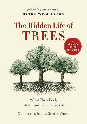 Picture of Hidden Life of Trees