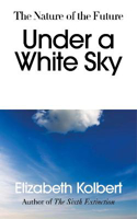 Picture of Under a White Sky