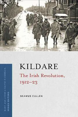 Picture of Kildare Irish Revolution