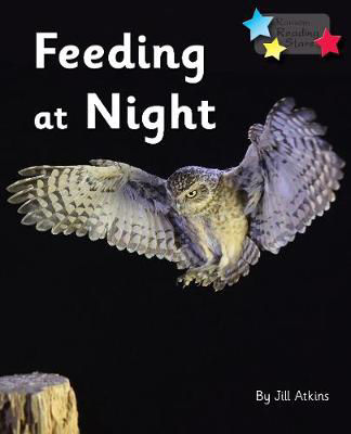 Picture of FEEDING AT NIGHT