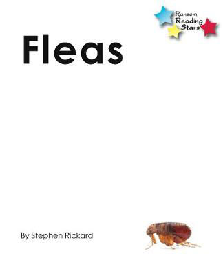 Picture of Fleas