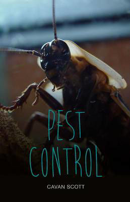 Picture of Pest Control