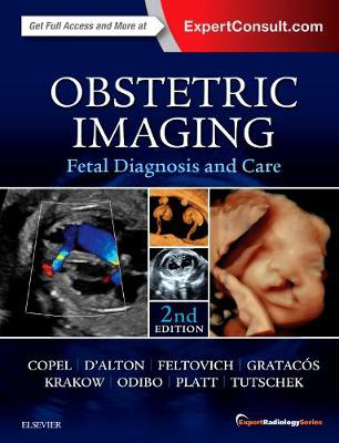 Picture of Obstetric Imaging: Fetal Diagnosis and Care