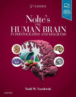 Picture of Nolte's The Human Brain in Photographs and Diagrams