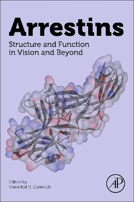 Picture of Arrestins: Structure and Function in Vision and Beyond