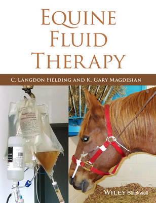 Picture of Equine Fluid Therapy