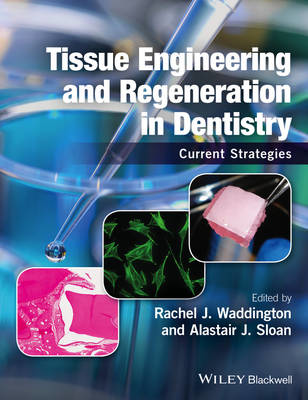 Picture of Tissue Engineering and Regeneration in Dentistry: Current Strategies