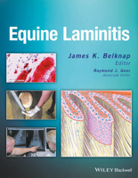 Picture of Equine Laminitis