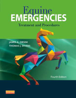 Picture of Equine Emergencies: Treatment and Procedures
