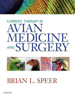 Picture of Current Therapy in Avian Medicine and Surgery