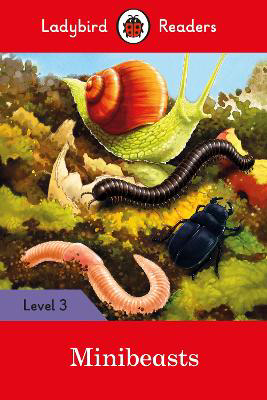 Picture of Minibeasts - Ladybird Readers Level 3
