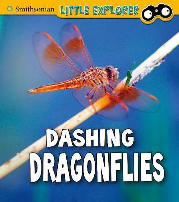 Picture of Dashing Dragonflies