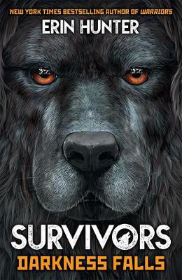 Picture of Survivors Book 3: Darkness Falls