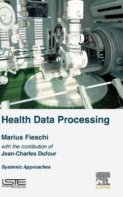 Picture of Health Data Processing: Systemic Approaches