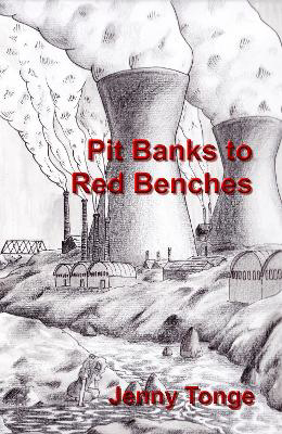 Picture of Pit Banks to Red Benches: From the Black Country to the Lords