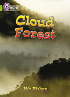Picture of Cloud Forest