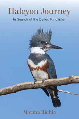 Picture of Halcyon Journey: In Search of the Belted Kingfisher