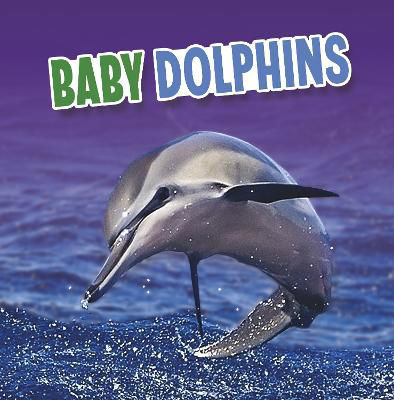 Picture of Baby Dolphins