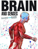 Picture of Brain and Senses