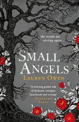 Picture of Small Angels: A twisting gothic novel of hauntings, heartbreak and revenge