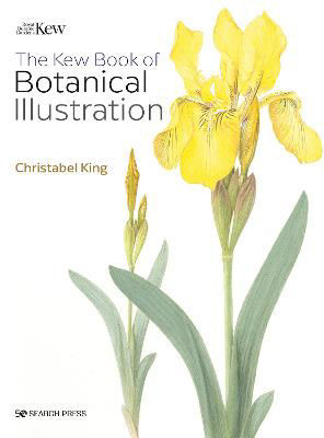 Picture of The Kew Book of Botanical Illustration (paperback edition)