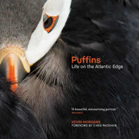 Picture of Puffins: Life on the Atlantic Edge