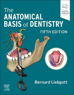 Picture of The Anatomical Basis of Dentistry