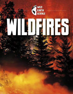 Picture of Wildfires