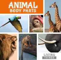 Picture of Animal Body Parts