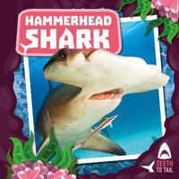 Picture of Hammerhead Shark: Teeth to Tail