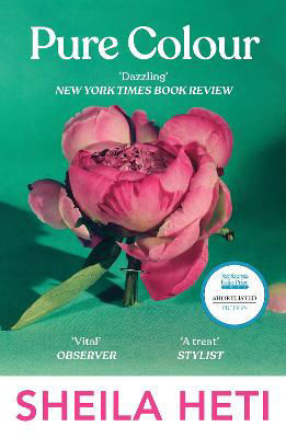 Picture of Pure Colour: the new novel from the