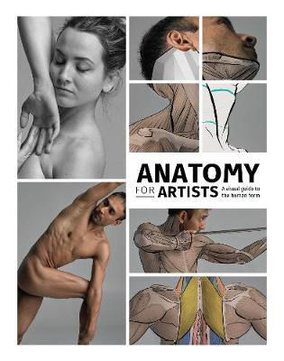 Picture of Anatomy for Artists: A visual guide to the human form