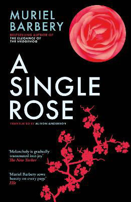Picture of Single Rose  A