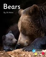 Picture of Bears: Phonics Phase 5 6-pack